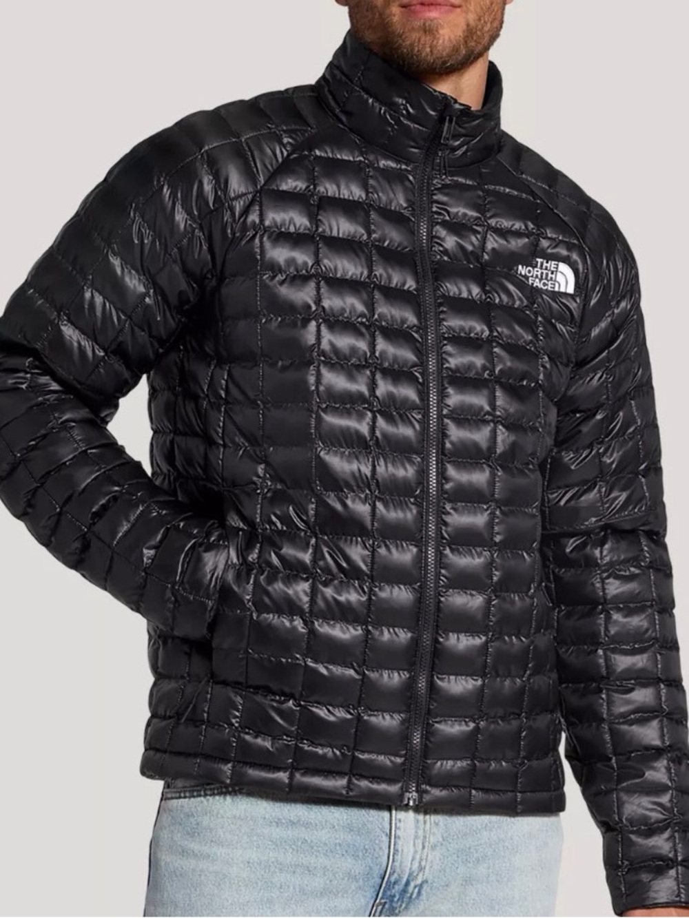 The North Face Black Quilted Puffer Jacket - Men's HERMOBALL™ Hooded Jacket